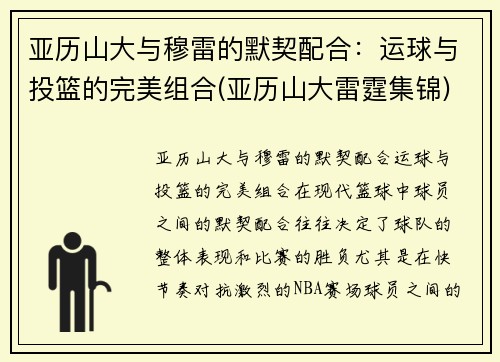 亚历山大与穆雷的默契配合:运球与投篮的完美组合(亚历山大雷霆集锦)